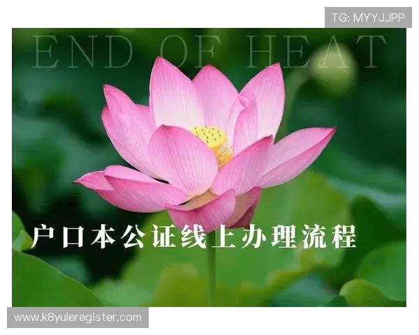 k8网投app最新版本下载安装指南,安全稳定的线上娱乐平台推荐 k8网投app最新版本下载安装指南,安全稳定的线上娱乐平台推荐